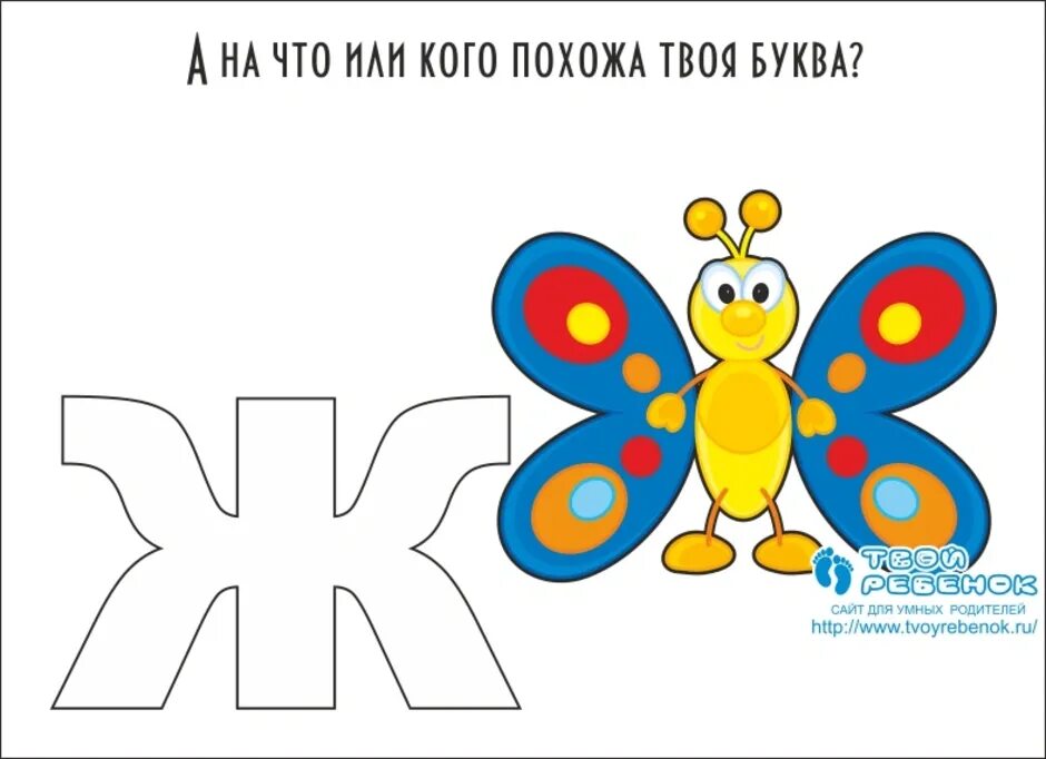 Какая буква похожа на животное. На что похожа буква. на что похожа буква ж рисунок. буква ж. предметы похожие на букву ж.