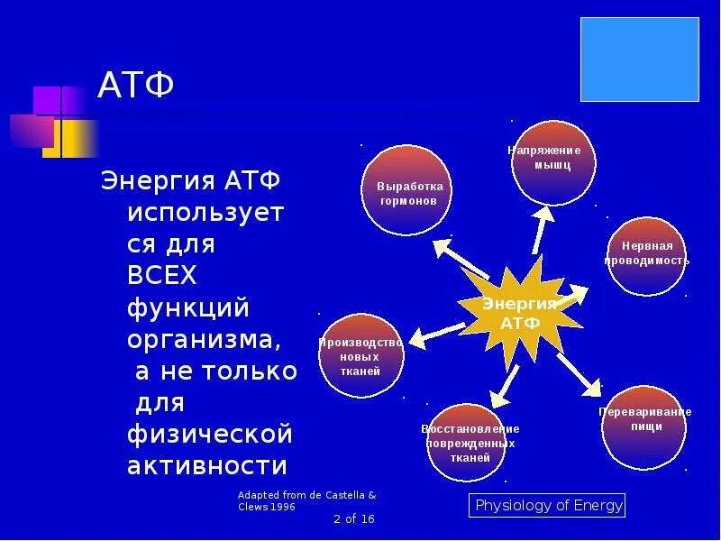 Освобождение энергии атф. Энергия клетки АТФ. Биологические функции АТФ. Функции АТФ В организме. Функции АТФ биология.