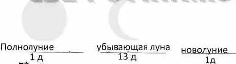 Стали видны