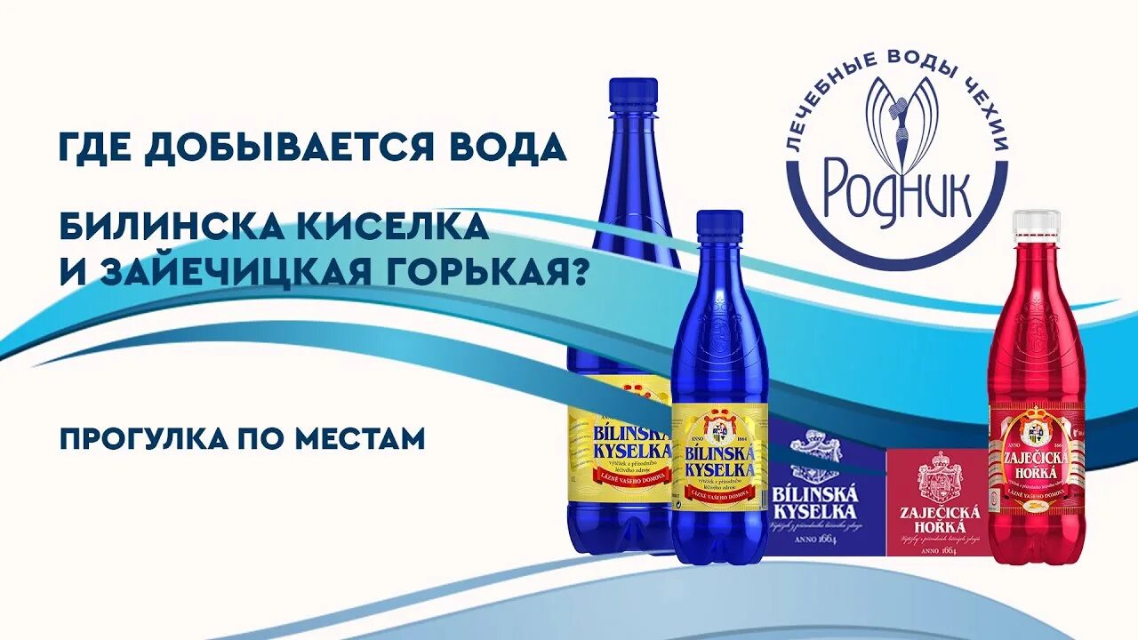 Зайечицкая вода минеральная купить. Минеральная вода Зайечицкая горькая. Чешская вода Билинска киселка. Чешская вода Зайечицка. Чешская минералка горькая.