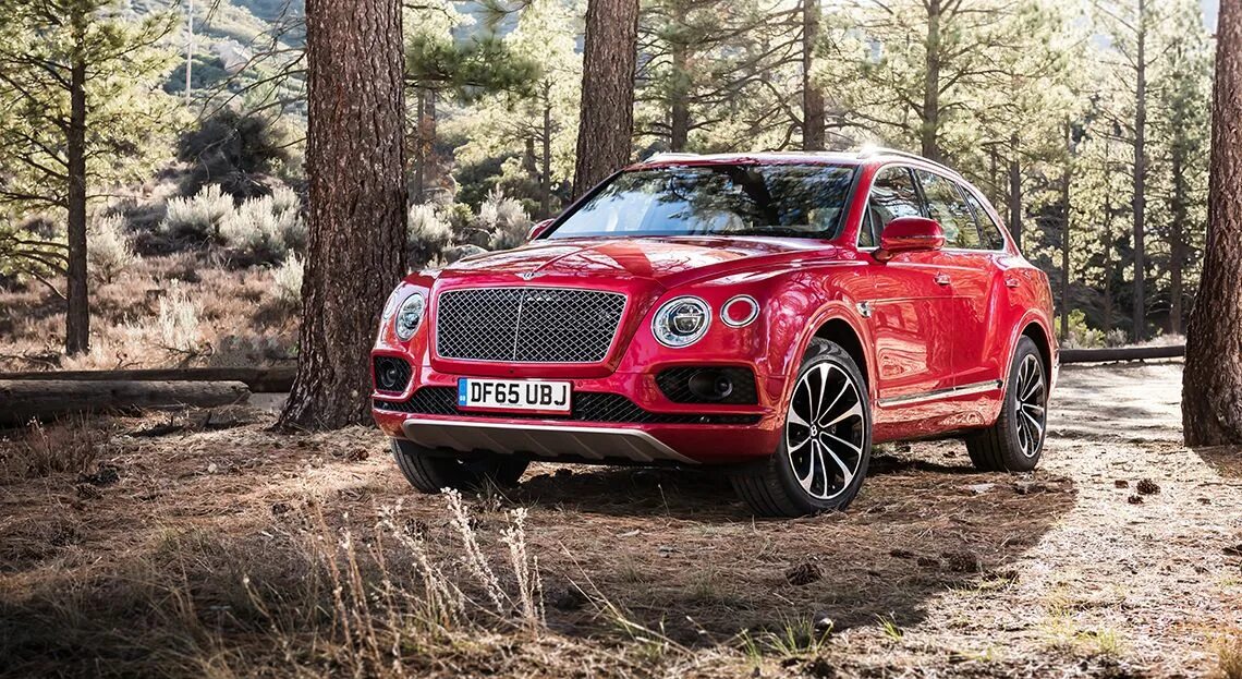 Бентли бентайга 2016. Bentley Bentayga. Bentley Bentayga 2016. Bentley Bentayga 2022. Бентли Бентайга красная.