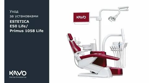 Установить life