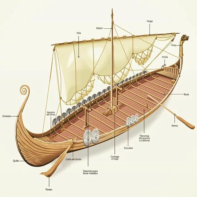 Дракар викингов чертеж модели. Кони моря корабли викингов. Схематический корабль викингов. Драккар сбоку рисунок. Схематический корабль викингов.