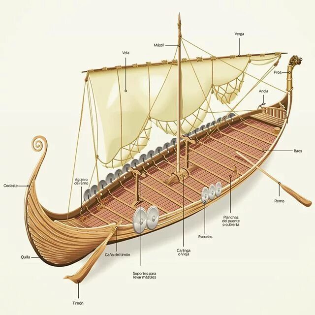 Драккар викингов строение. Корабль викингов Drakkar. Кнорр корабль викингов реконструкция. Драккар викингов палуба. Ладья состав