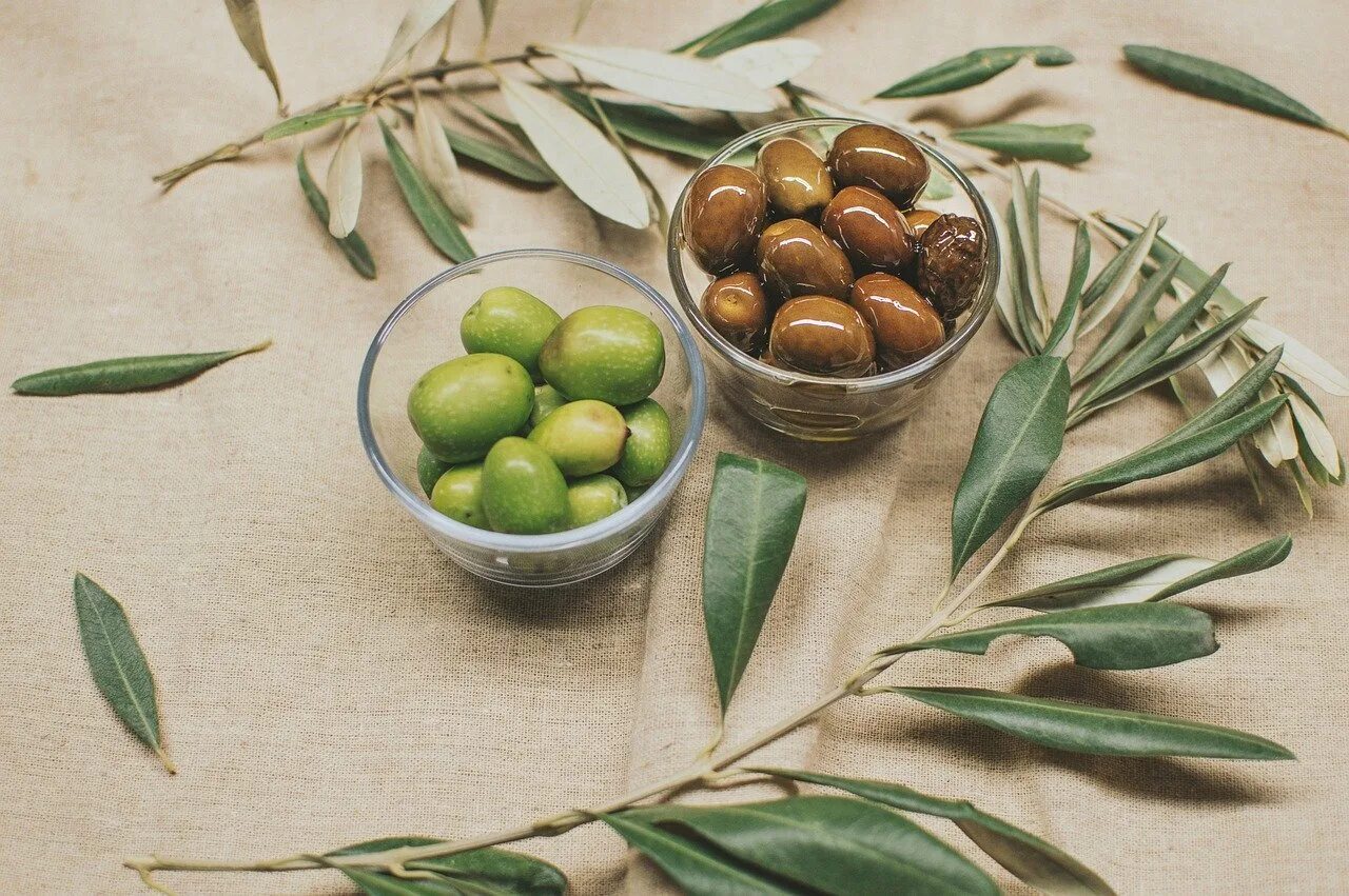 Греческие оливки. Маслины на белом фоне. Greek olive. Греческие оливки и маслины. Greek olive.
