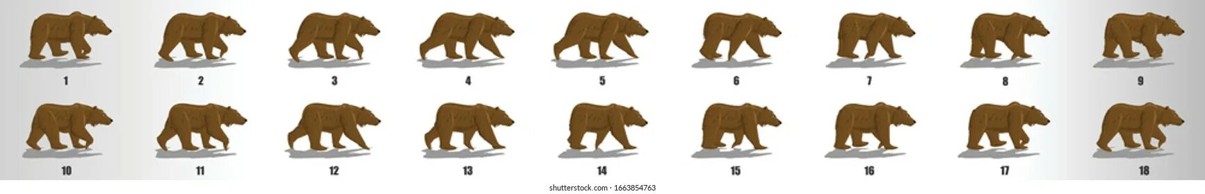 Bears walk