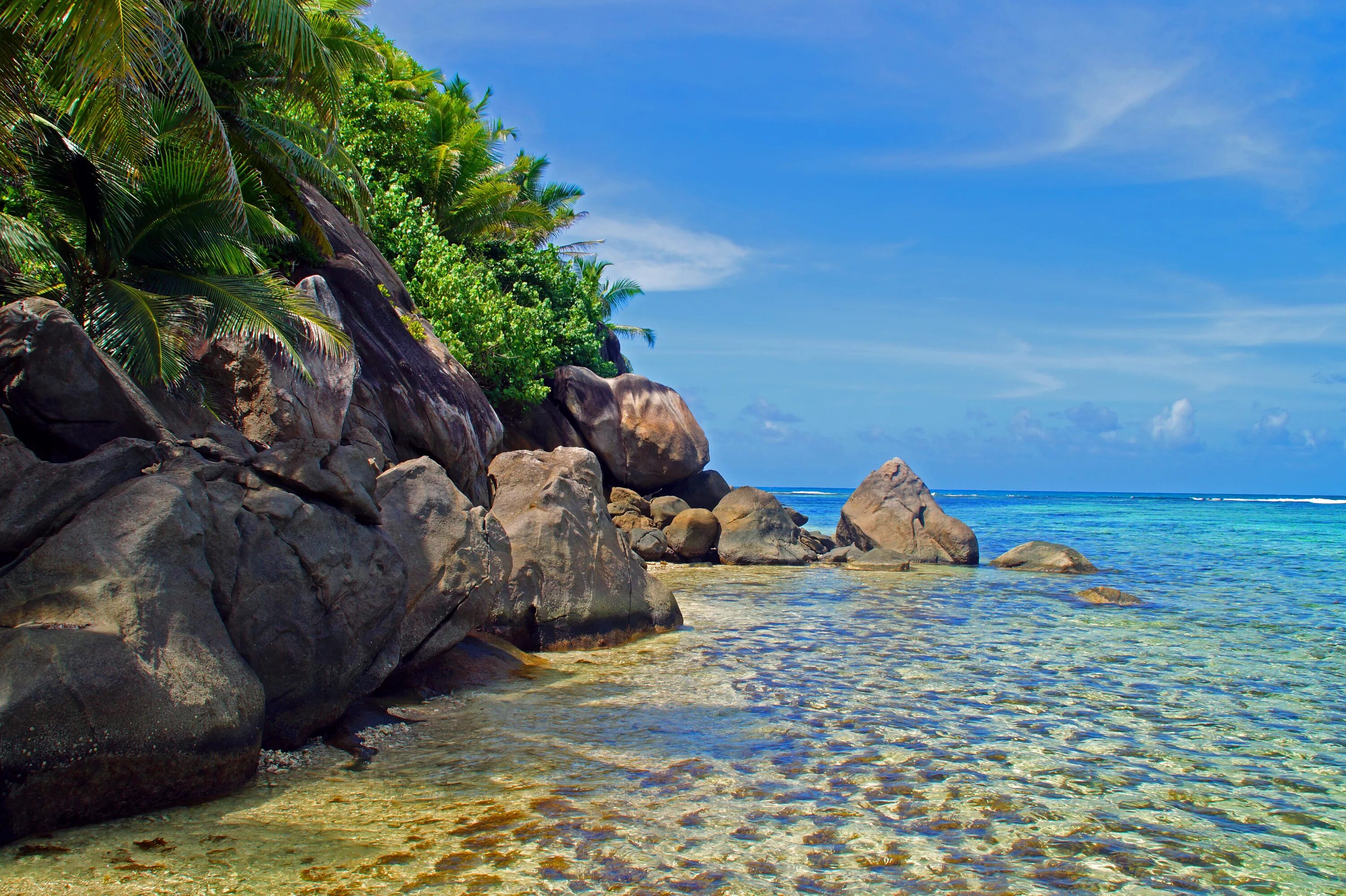Красивые берега океанов. Индийский океан Сейшельские острова. Гранитные острова Сейшелы. Парадиз остров Карибского моря. Бёрд (остров, Сейшельские острова).