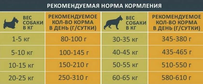 Сколько есть собака сухого корма