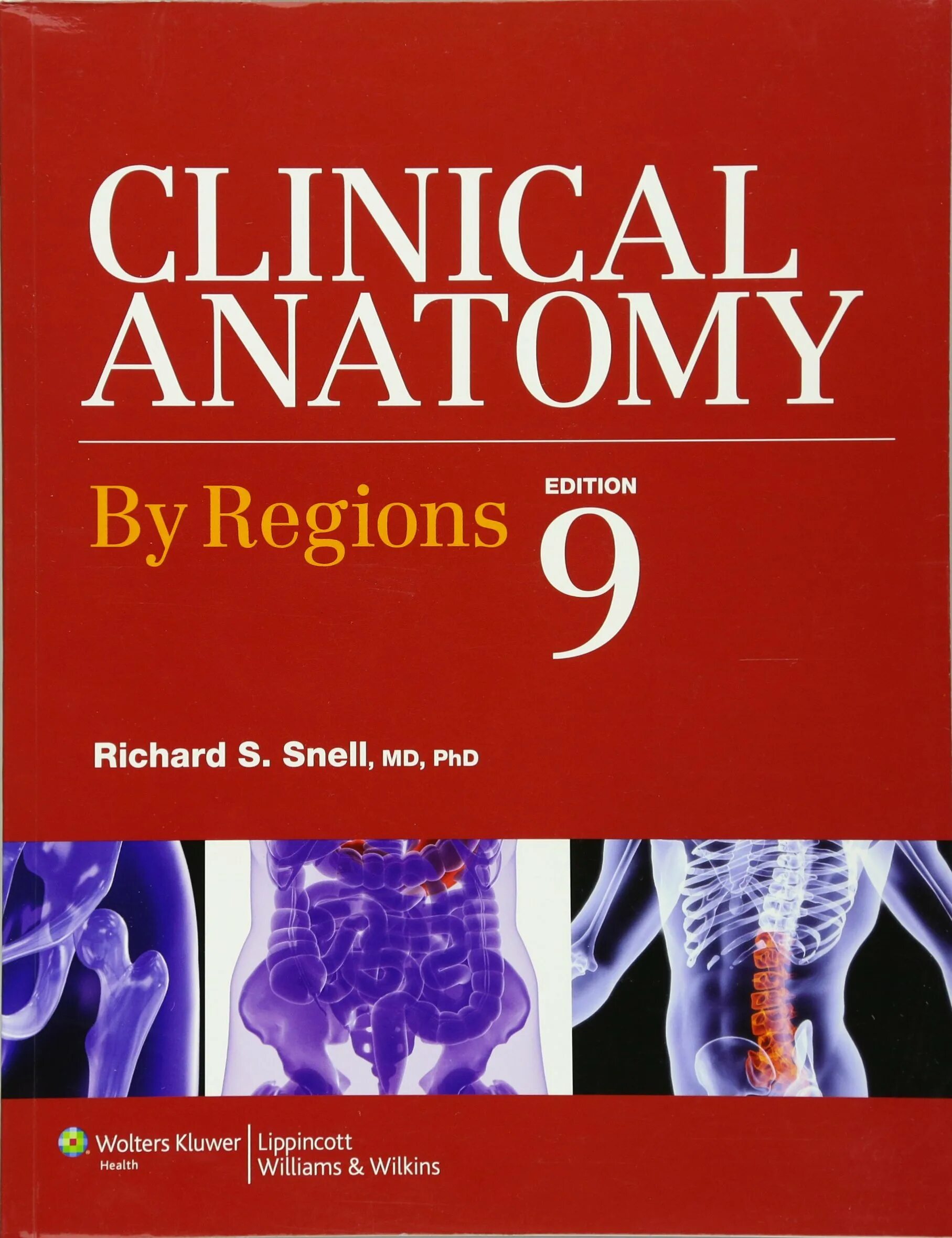 Бриджмен анатомия для художников. Snell anatomy book. Топографическая анатомия книга. Human anatomy worksheet. Human anatomy worksheet.
