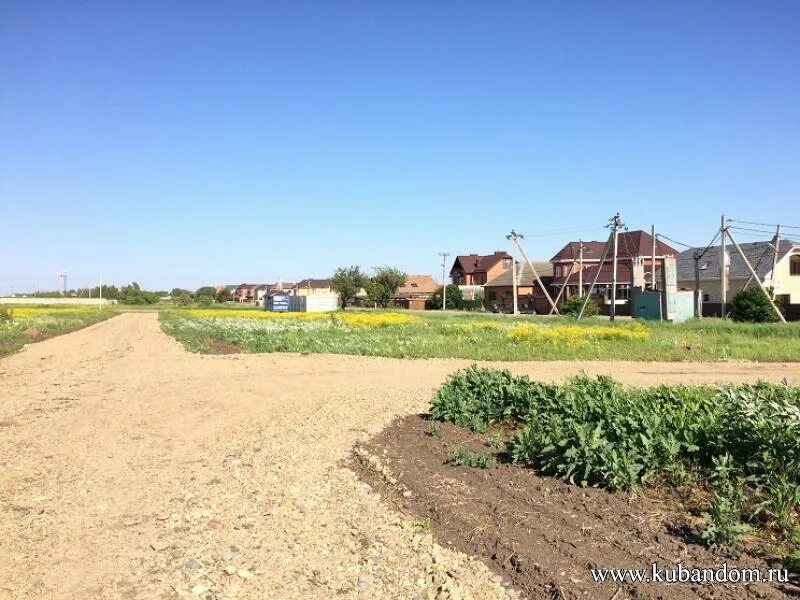 Поселок Новознаменский. Новознаменский Краснодар. ДНТ Новознаменский Краснодар. Краснодарский край .поселок Новознаменский ул. Центральная !.