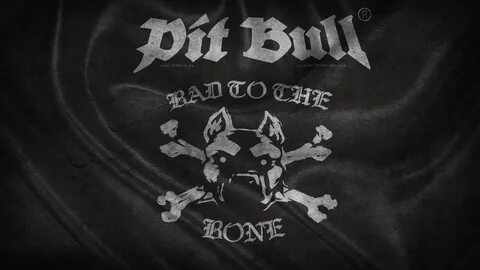 Pit Bull: BAD TO THE BONE! 