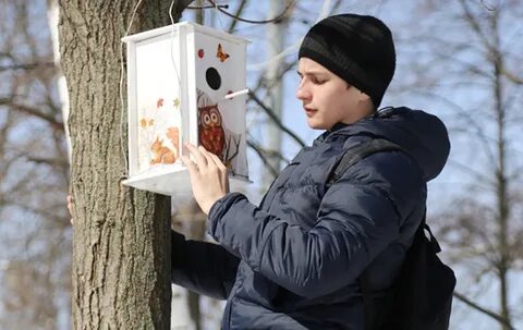 Помощь человека птицам