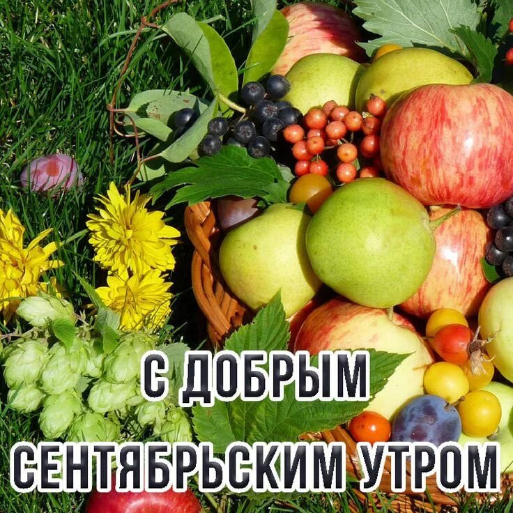 Доброго воскресного сентябрьского утра и хорошего дня