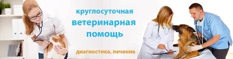 Ветеринарная на дом круглосуточно