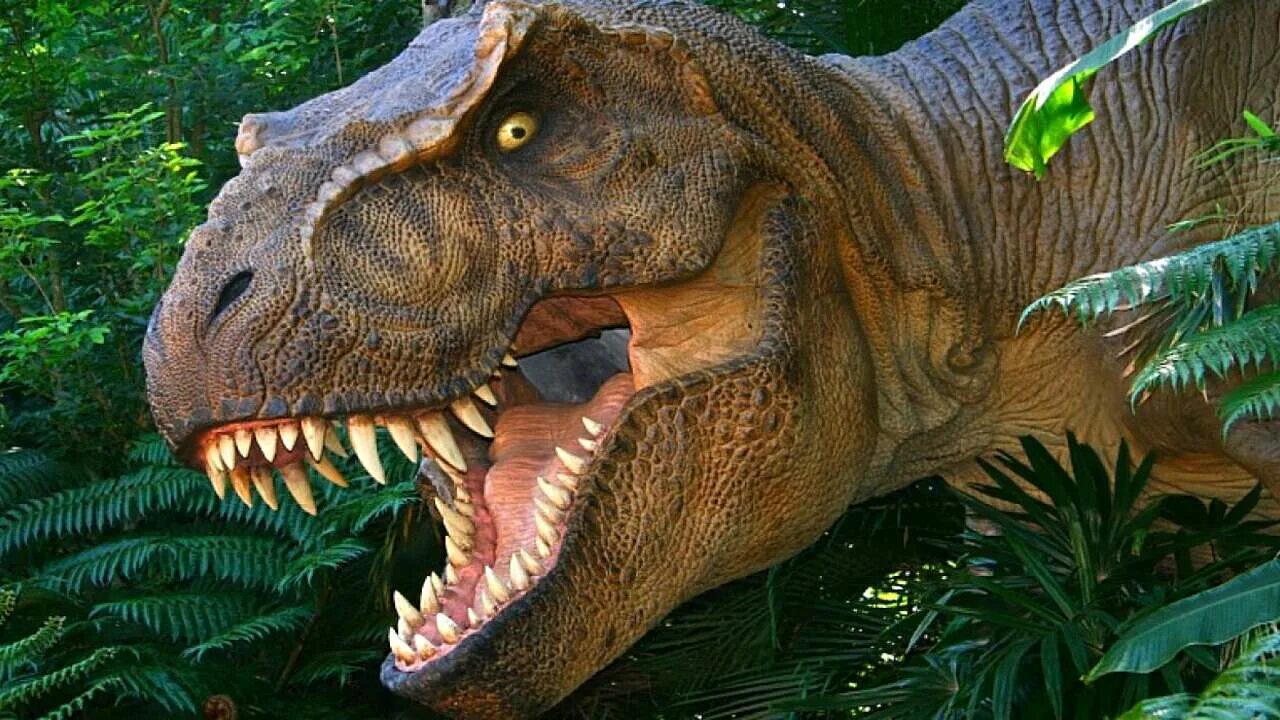 Диностер про динозавров. Тираннозавр парк Юрского периода. Королевский Тираннозавр. Теренозавр рекс. Тираннозавр рекс 2022.