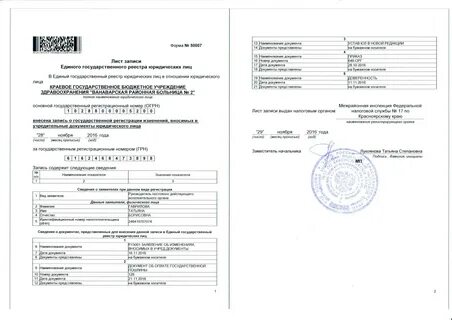 Лист записи ифнс