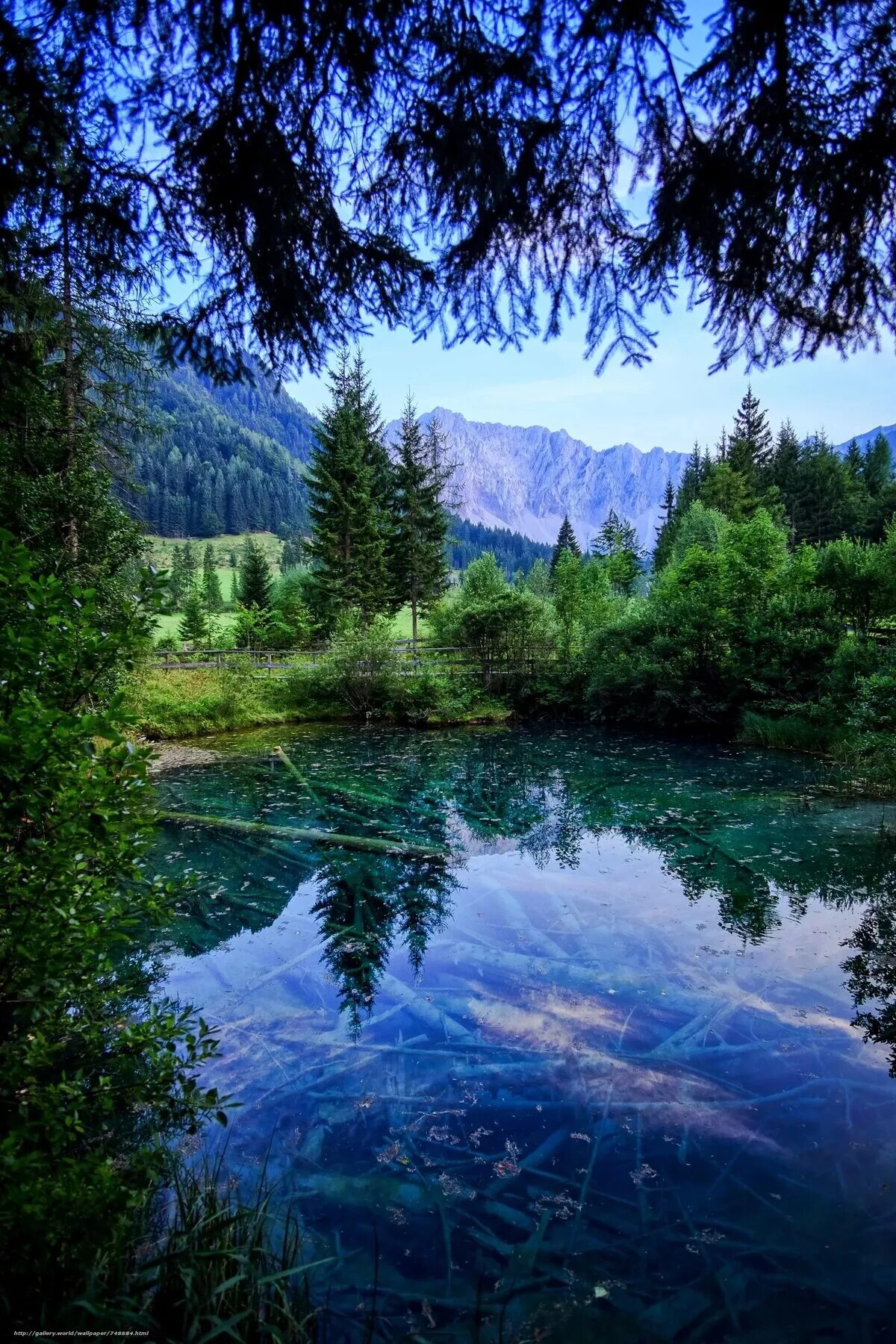 Заставка на телефон природа вертикальные. Красивое озеро. Красивая природа. Озеро в лесу. Горы лес озеро.