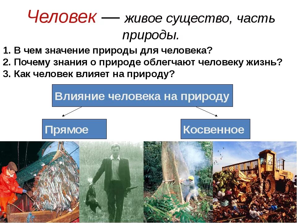 Как человек зависит от природы. Человек часть природы презентация. Человек часть живой природы. Доклад на тему человек часть природы. Рассказ человек часть природы.