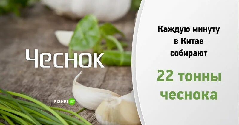 1 минут сайт. За 1 минуту. Что происходит за 1 минуту. Что может случиться за 1 минуту. Что происходит в мире за минуту.