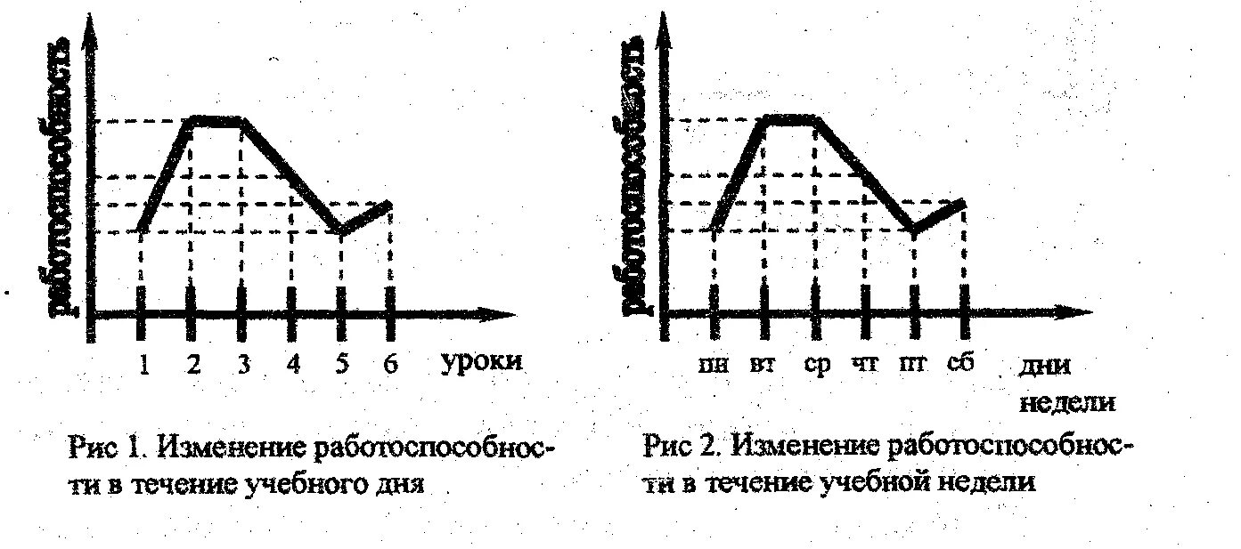 Закажет в течение недели. Динамика суточной работоспособности школьника график. Недельные фазы работоспособности. График динамики суточной и недельной работоспособности школьника. График недельной работоспособности.