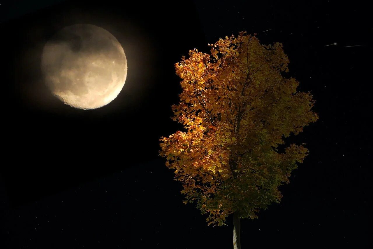 30 сентября ночь. Vesennyaya Luna. Осенняя Луна. Полнолуние. Оранжевая Луна.