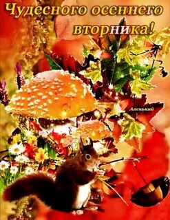 Доброго воскресенья сентября картинки