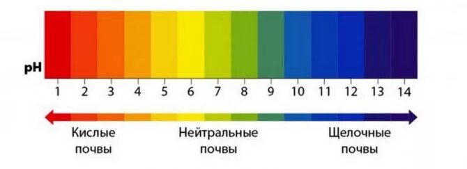 Кислотность почвы шкала кислотности. Таблица кислотности почвы для овощей. Кислотность почвы для клубники. Влияние кислотности почвы на растения. Клубника кислая или щелочная почва.