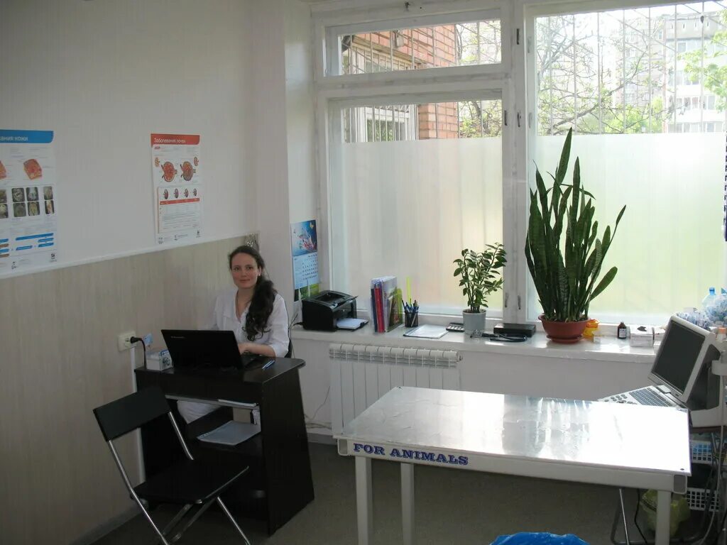 ветклиника велес узловая. ветеринарка малоярославец велес. велес обнинск ветклиника график работы. велес обнинск ветклиника график работы.