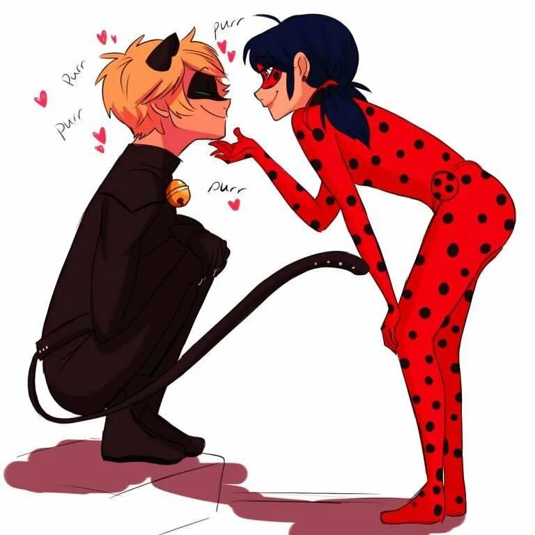 Фикбук леди баг и супер кот. Леди баг и кот ноир. леди нуар miraculous. lady bug and cat noir marinette. леди баг и супер кот шиппинг.