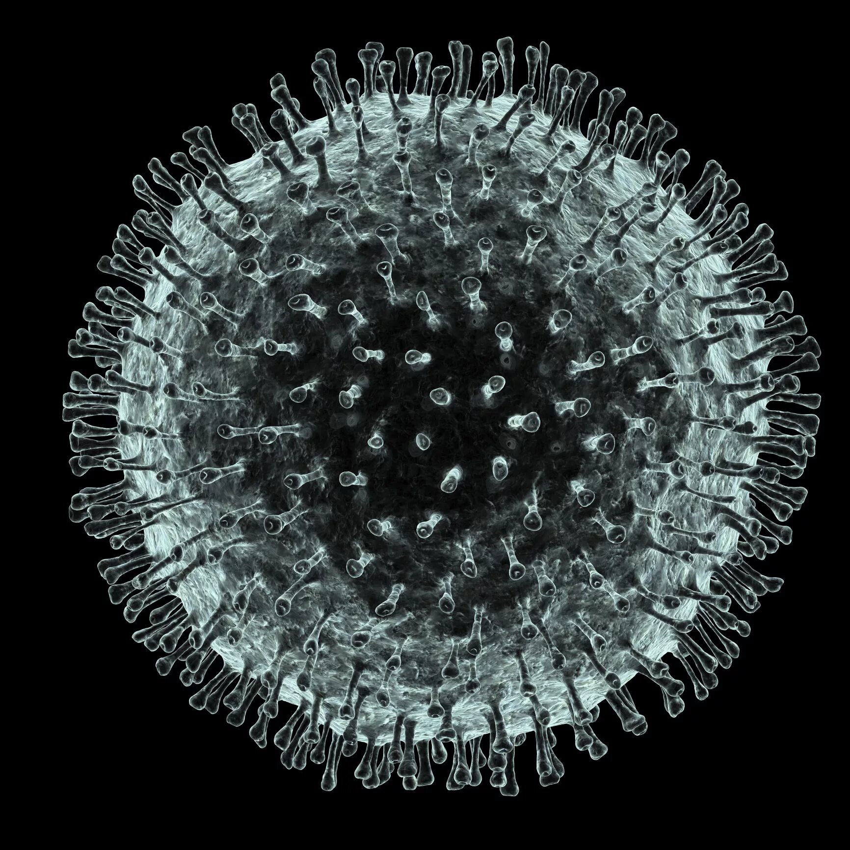 Вирус коронавирус коронавирус. Коронавирус под микроскопом. Вирус ковид. Вирус Covid 19 под микроскопом. Коронавирус со