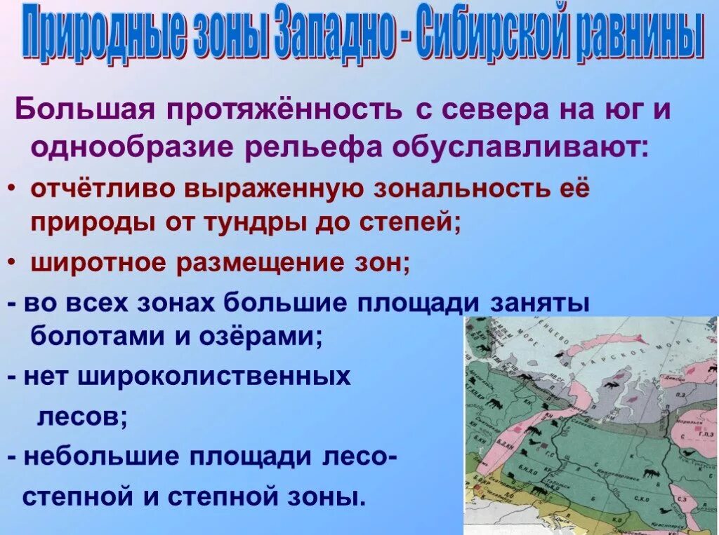 Какая природная зона отсутствует в западной сибири. Западно Сибирская равнина с севера на Юг. Природные зоны Западной Сибири. Природные зоны Западно сибирской равнины. Протяженность Западно сибирской равнины.