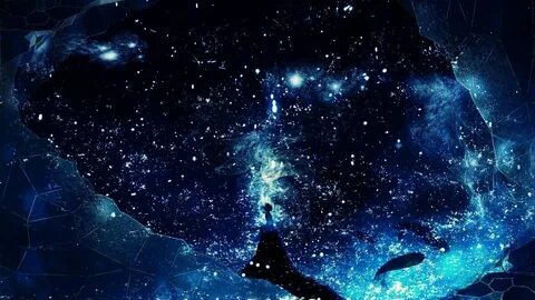 Universe study