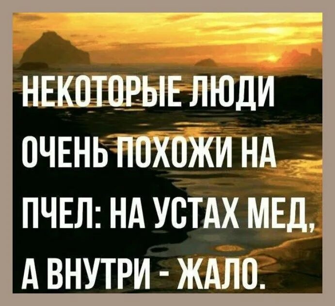 Людей так много добрых что страшно к ним спиною встать. Эван лазар цитаты в картинках. Каждый человек подобно луне имеет свою неосвещенную сторону. Волки и люди похожие судьбы цитаты. Люди не подобны.