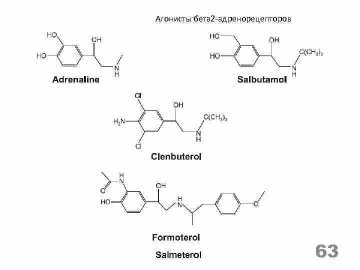 Длительно действующие бета 2 агонисты. Агонисты бета 2 адренорецепторов препараты. Короткодействующие бета 2 агонисты. Агонисты а2 адренорецепторов. Бета адренергические агонисты.