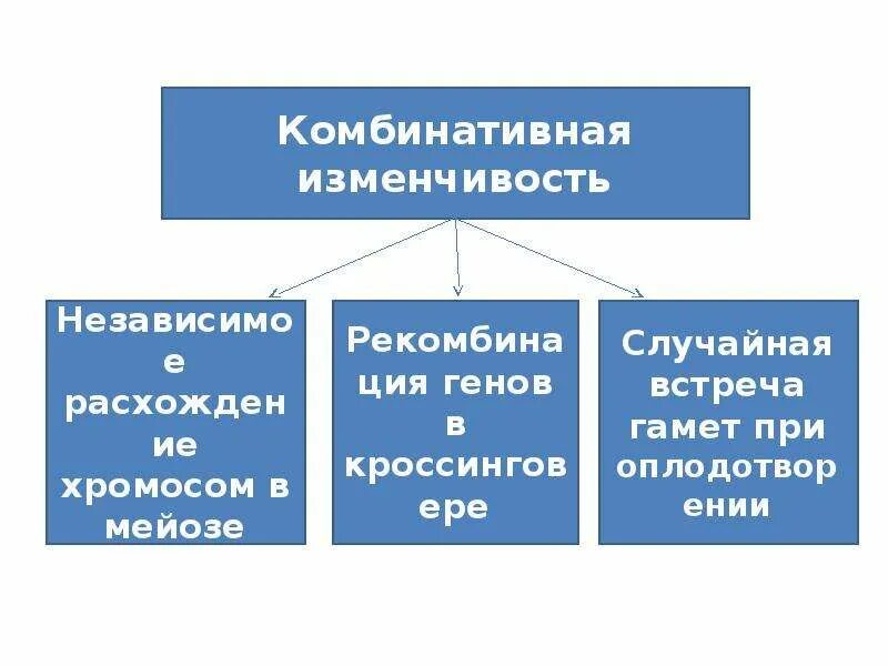 Закономерности наследственной изменчивости. Закономерности изменчивости комбинативная изменчивость. Закономерность комбинативной изменчивости. Причины комбинативной изменчивости схема. Закономерность наследственной изменчивости