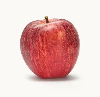 Apple tallest