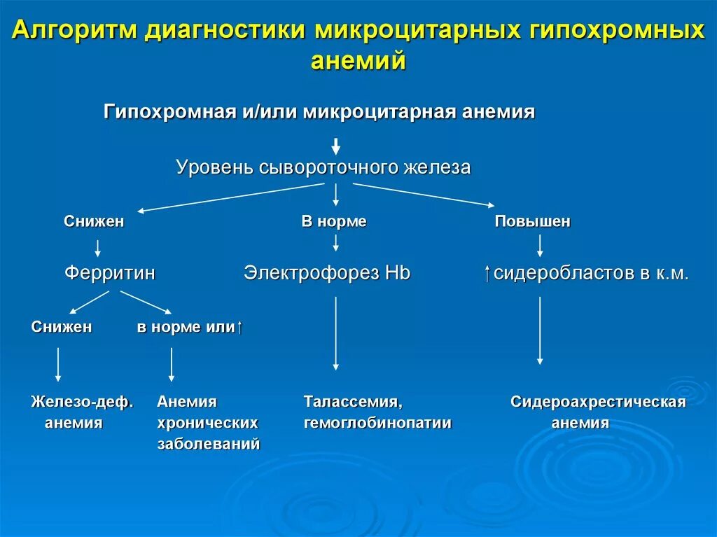 Анемия кома. Алгоритм диагностического поиска при гипохромной анемии. Алгоритм диагностика при гипохромной анемии. Алгоритм диагностики железодефицитной анемии. Алгоритм диагностического поиска при гиперхромной анемии.