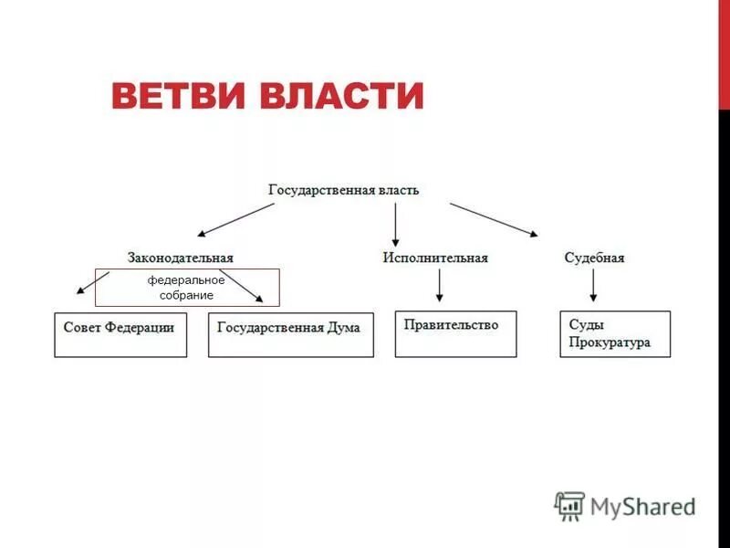 госдума какая ветвь государственной власти
