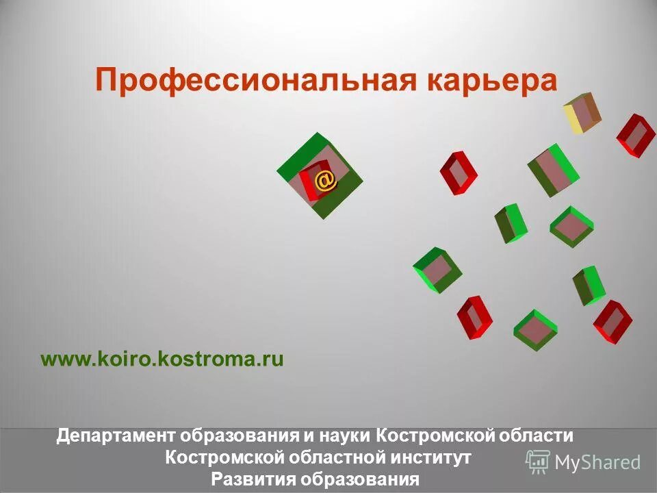 коиро кострома новый сайт