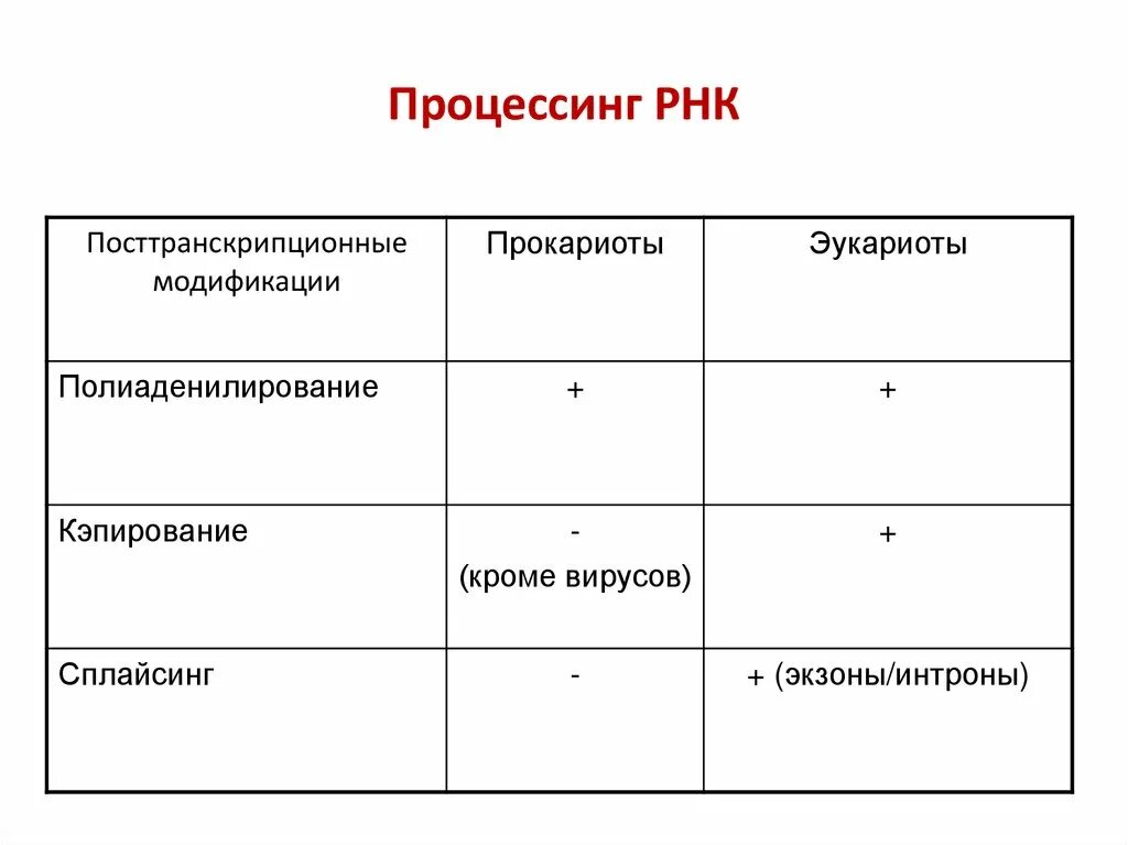 Посттранскрипционные процессы у эукариот. Этапы процессинга у эукариот. Посттранскрипционные модификации РНК. Посттранскрипционный процессинг РНК.