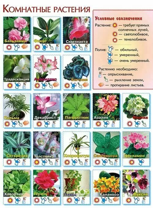 Маркировка цветов в саду 