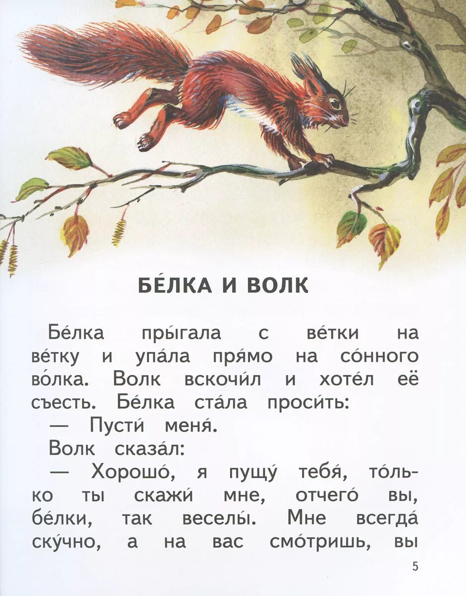 Сказка л толстого белка и волк. Л.Н.толстой басня белка и волк. Лев Николаевич толстой рассказ белка и волк. Басня Льва Николаевича Толстого белка и волк. Сказка Толстого л.н. волк и белка.