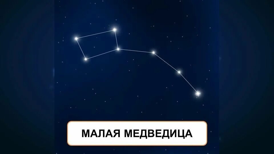 Форма большой медведицы. Созвездие большой и малой медведицы и полярная звезда. Малая медведица в созвездии самая большая звезда. Большая и малая медведица полярная звезда. Полярная звезда в малой медведице.