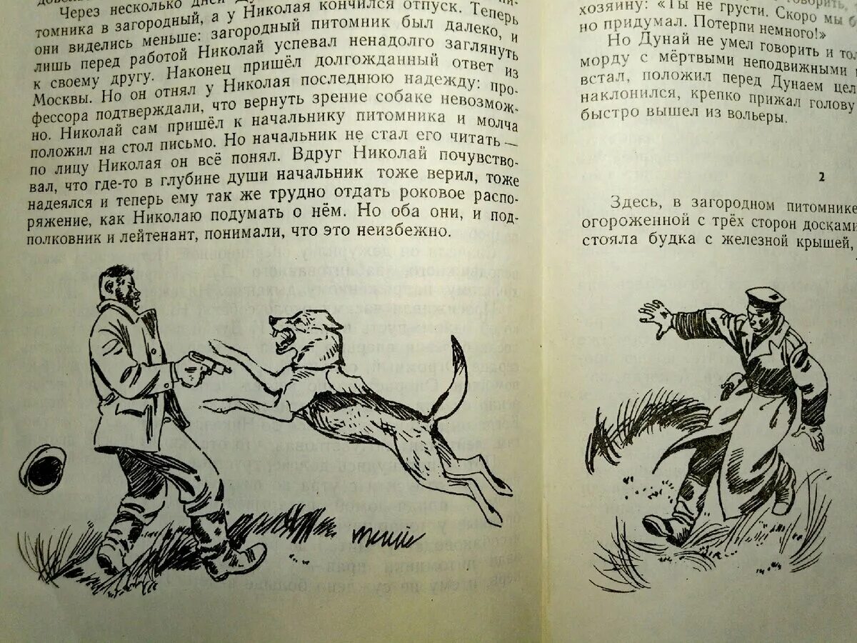 Дружище тобик книга. Паустовский дружище тобик. Текст тобик. Дружище тобик рассказы о собаках. Дружище тобик рассказы о собаках.