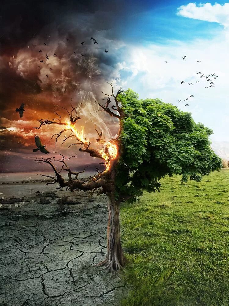 Hell tree