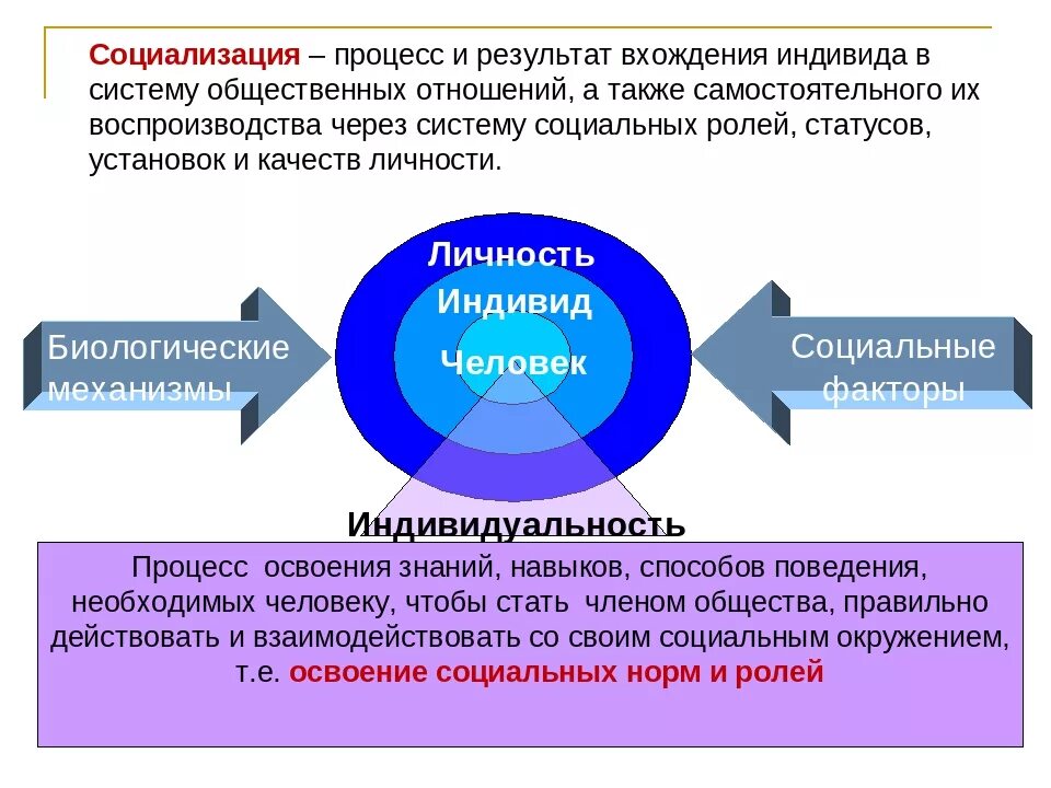 Процесс развития индивида это. Процесс формирования индивида. Процесс становления индивида. Социализация личности в социуме. Схема процесса социализации.