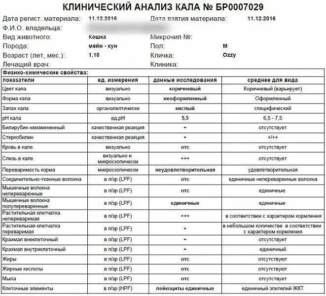 Пробы на анализ кала. Нормативы анализа кала. Лабораторные исследования кала общий анализ. Показатели нормы копрограммы кала. Исследования кала на скрытую кровь норма показателя.