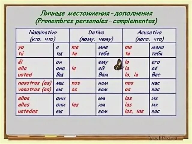 Портфель местоимение