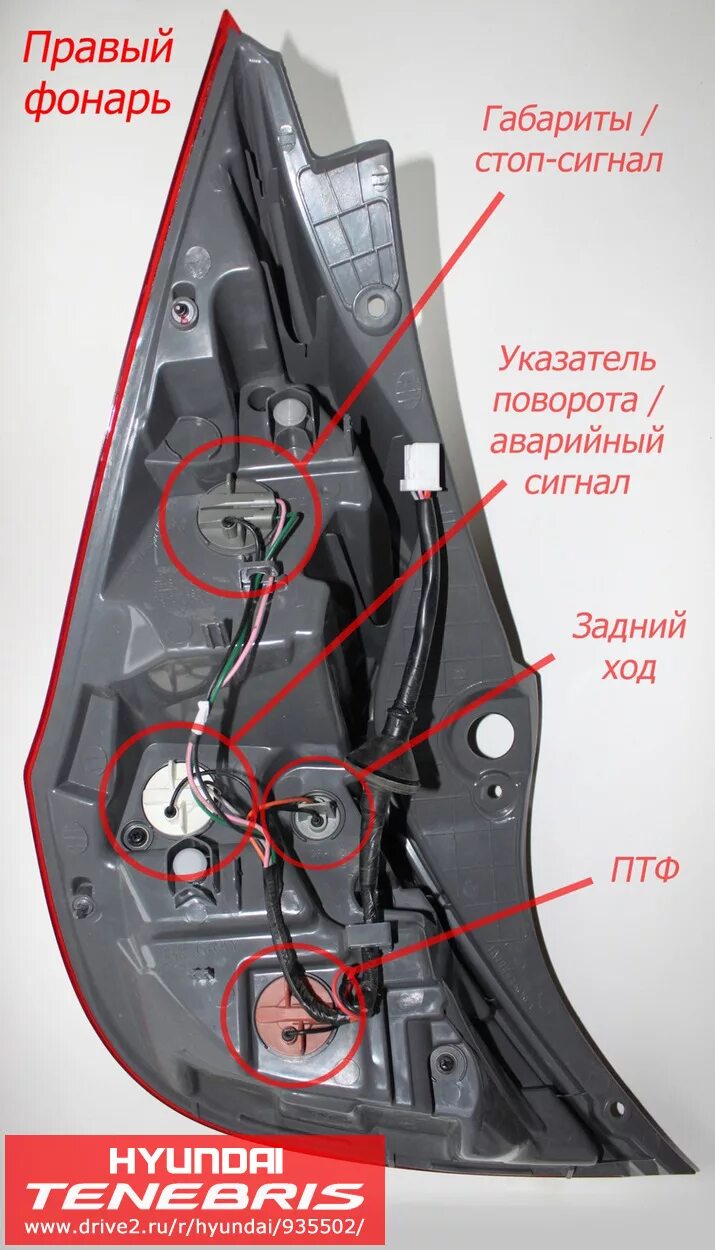 Стоп сигнал где находится