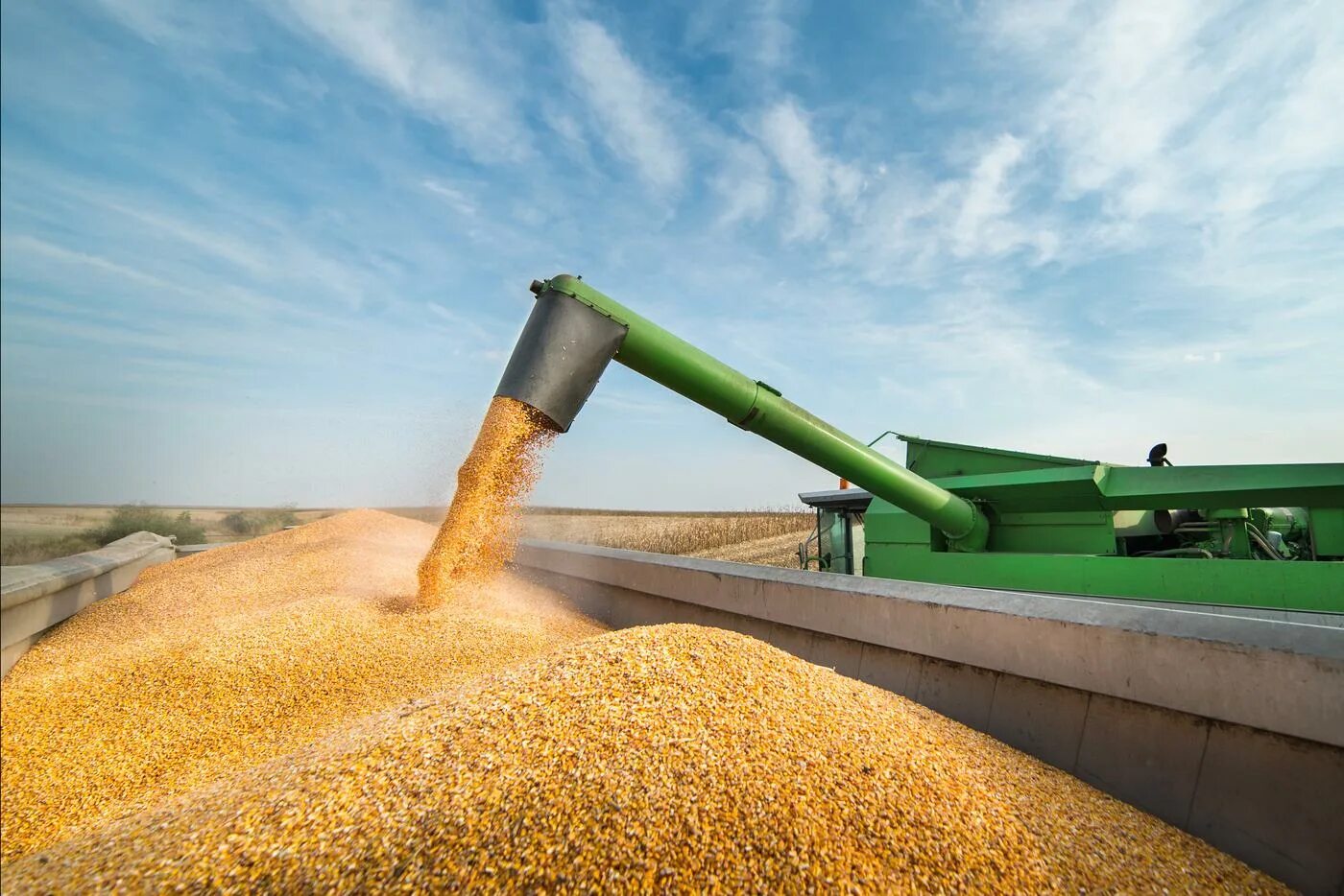 Сушка зерна. Экспорт зерна. Экспорт пшеницы. Переработка зерна.